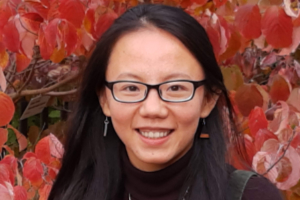 Dr. Limin Wang