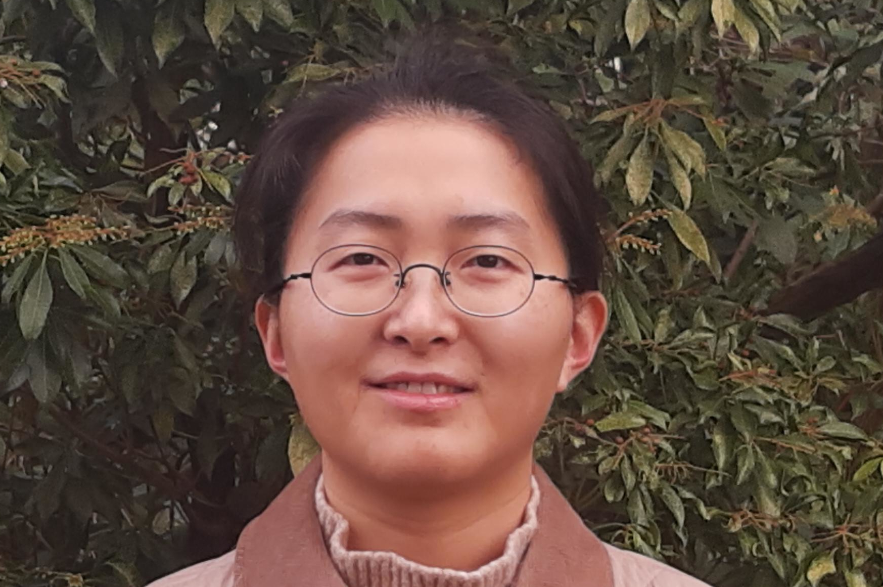  Hung-Fei Lai